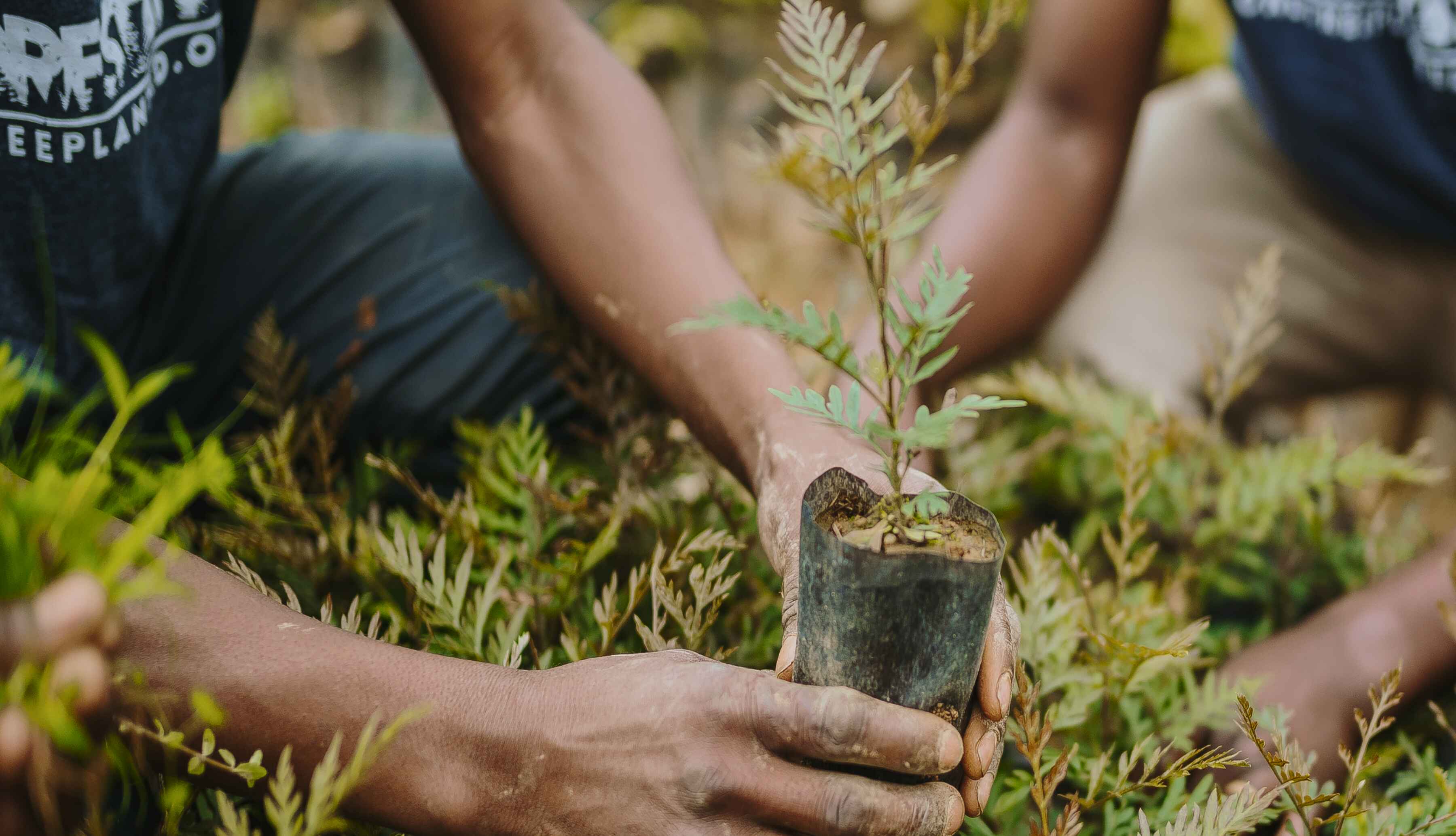 Shop Goods, Plant Goodness